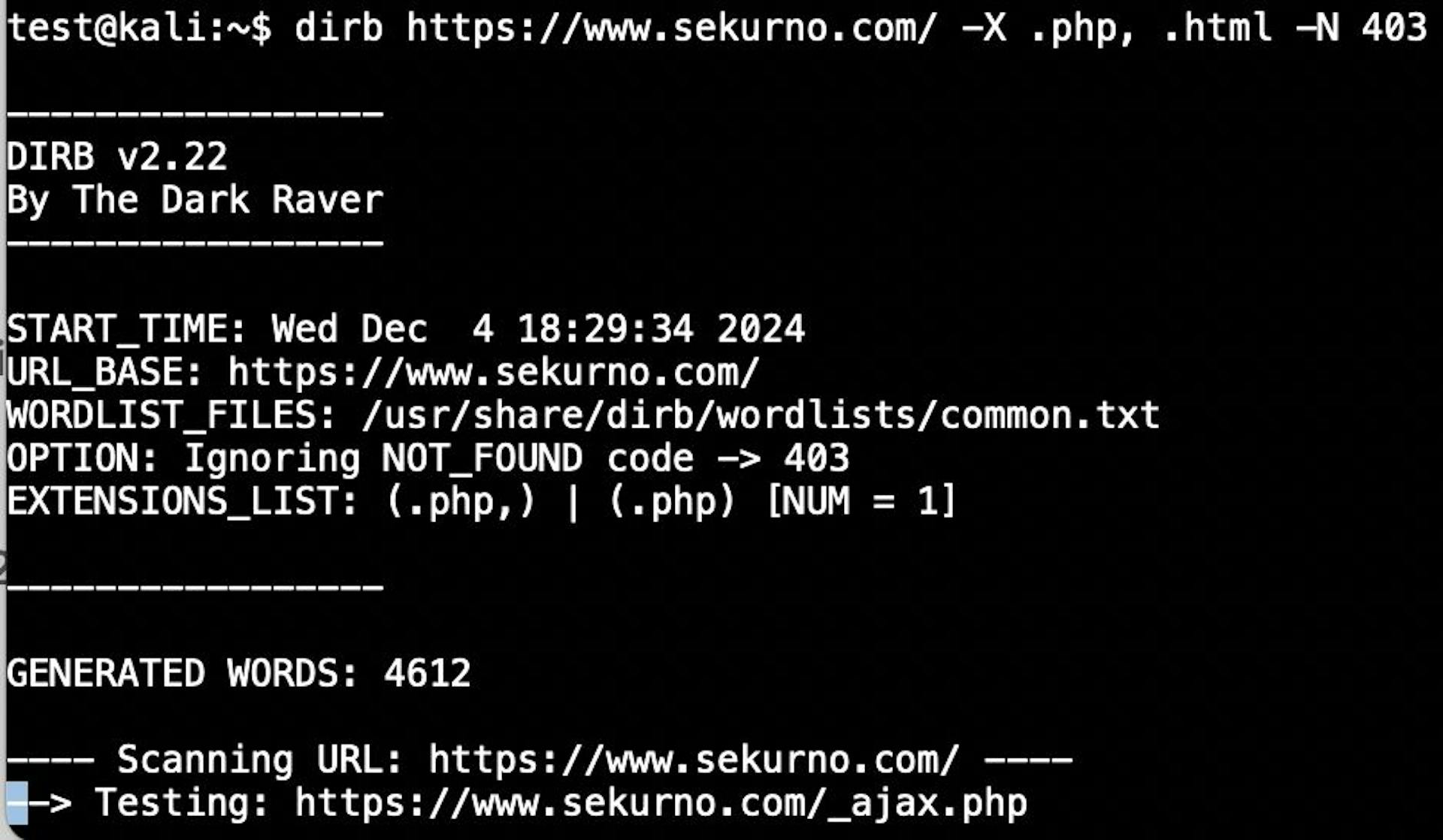 Example: Searching for common directories on *www.sekurno.com* with specific file extensions.