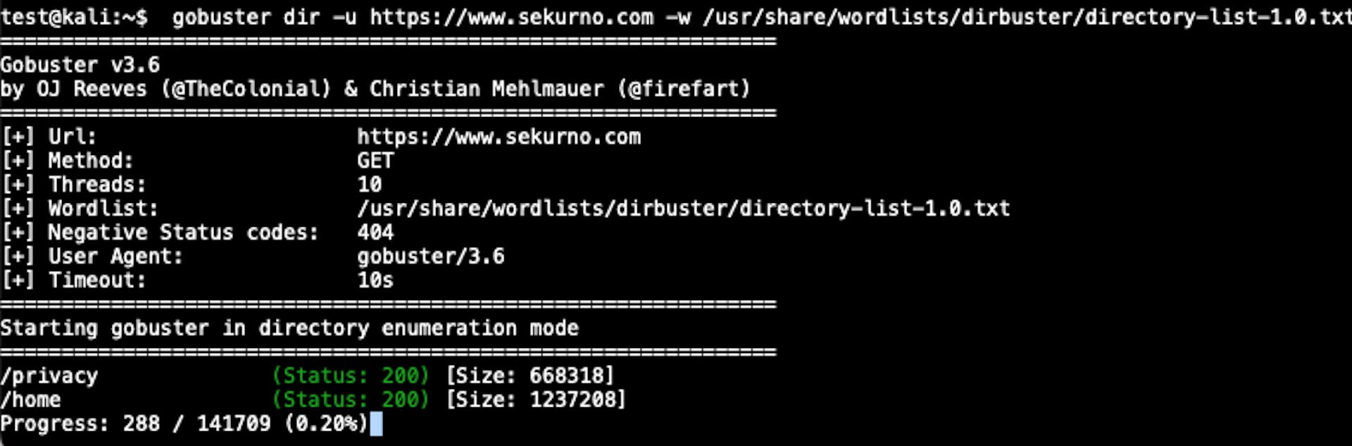 Example: Directory enumeration with the gobuster tool for *www.sekurno.com*