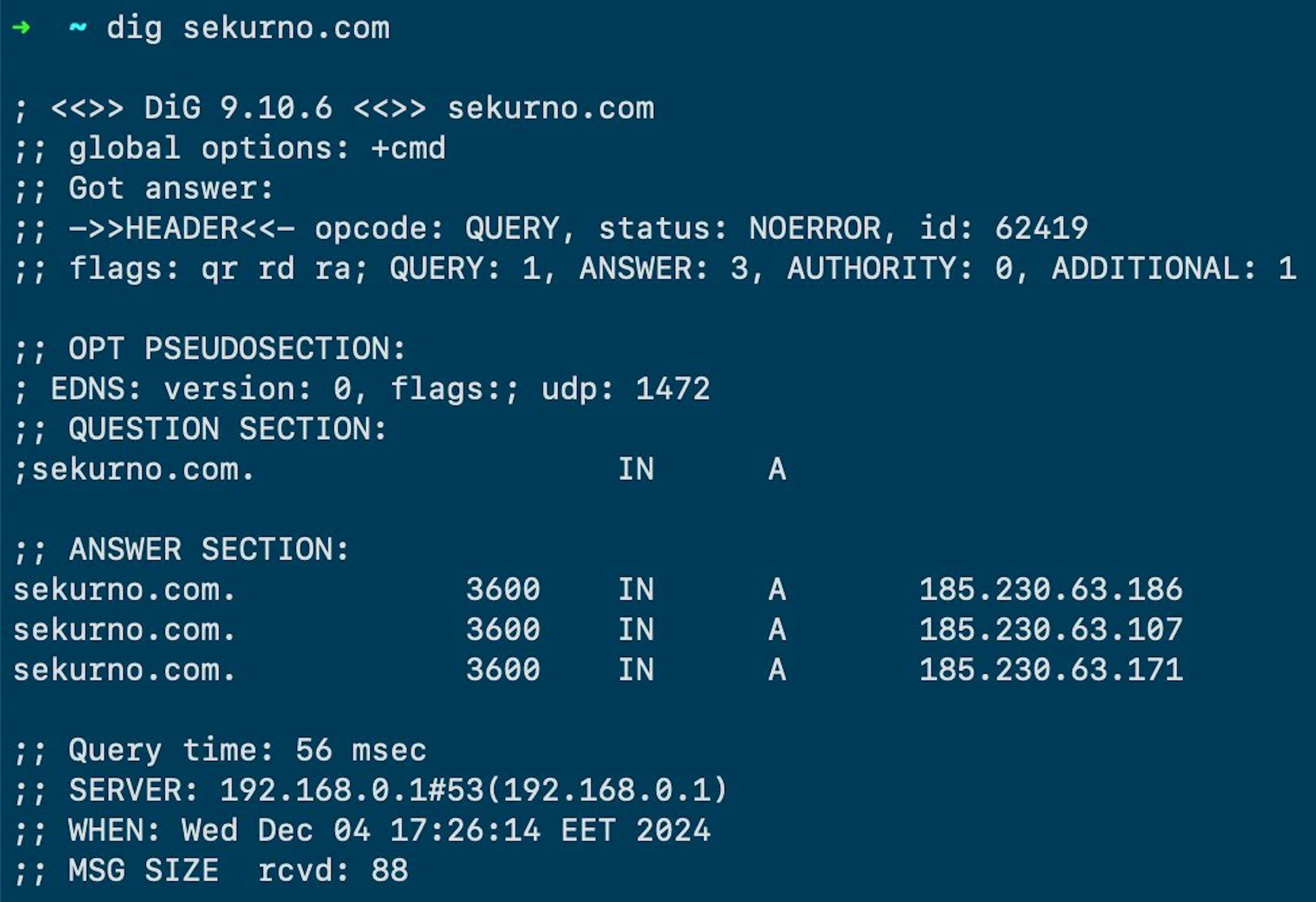 Example: Running dig for sekurno.com reveals a list of IPs.