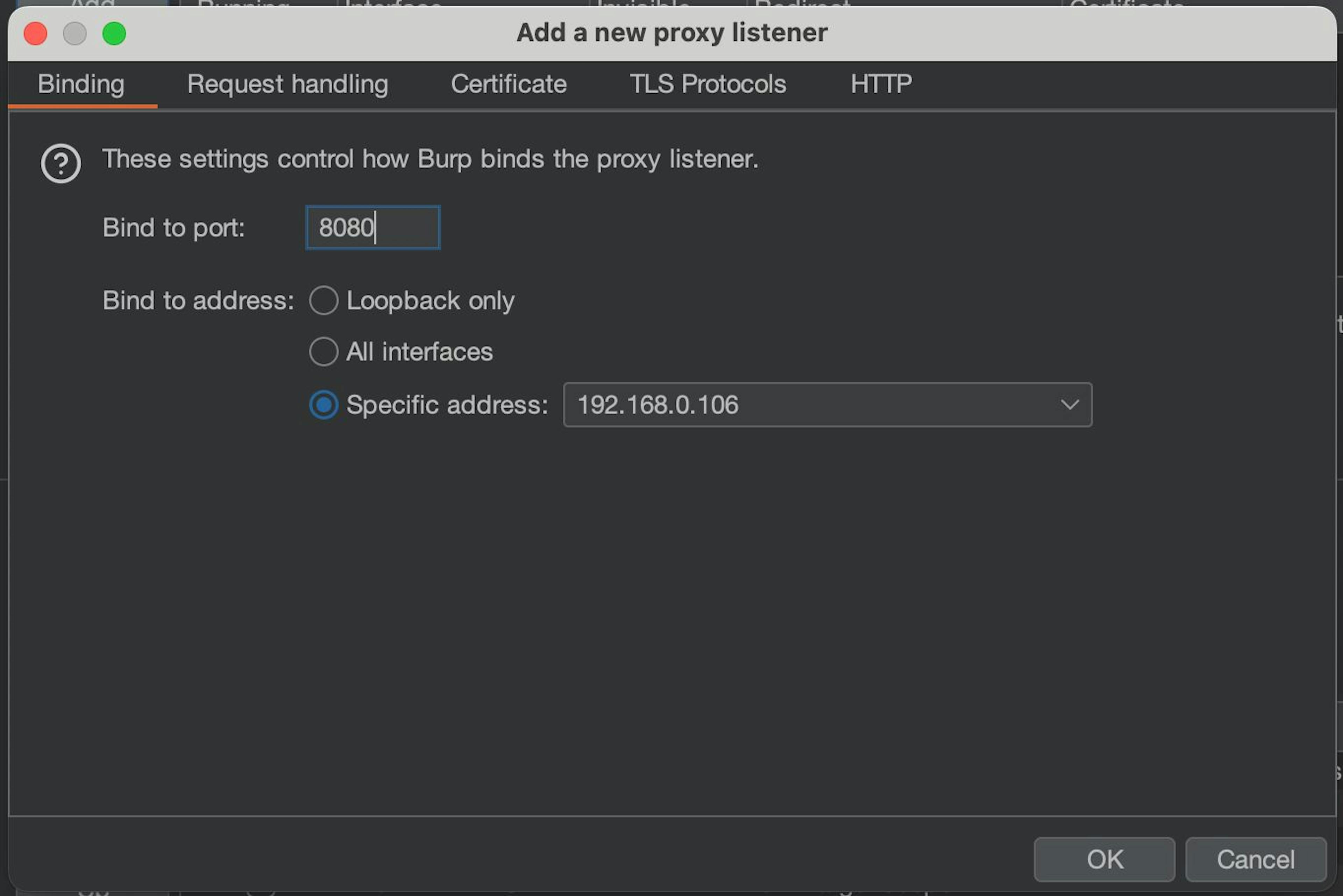 Burp Suite Proxy settings