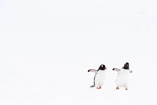 /5-things-you-should-know-about-linux feature image