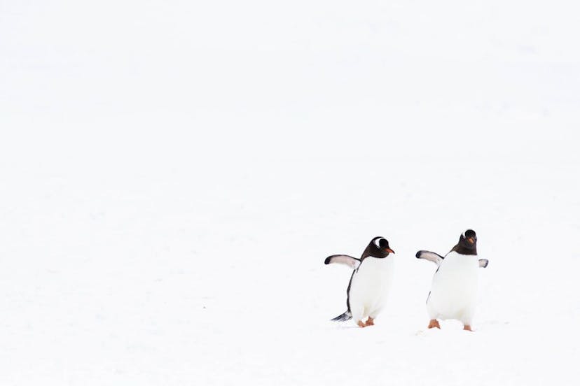 /5-things-you-should-know-about-linux feature image