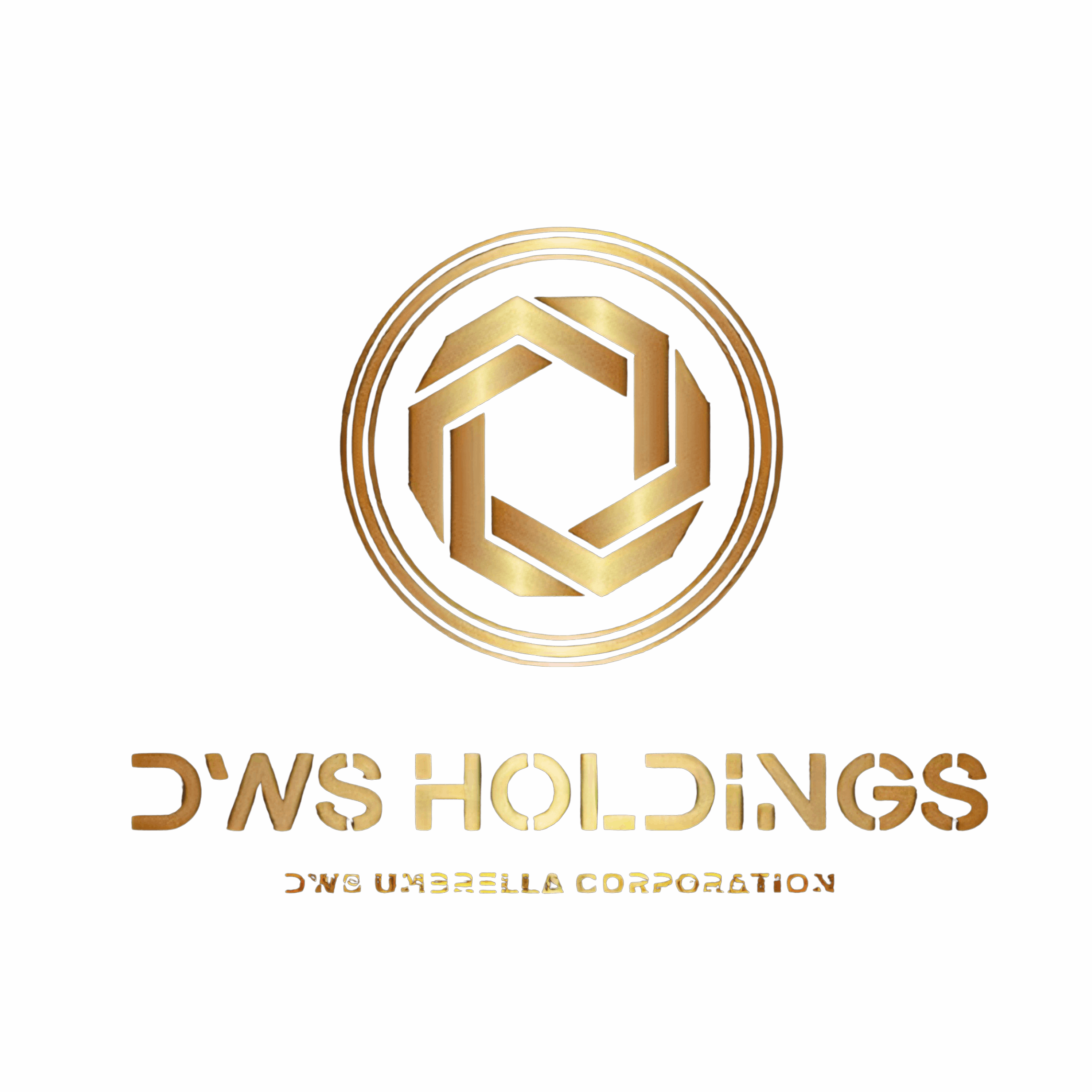 DWS Holdings Inc HackerNoon profile picture