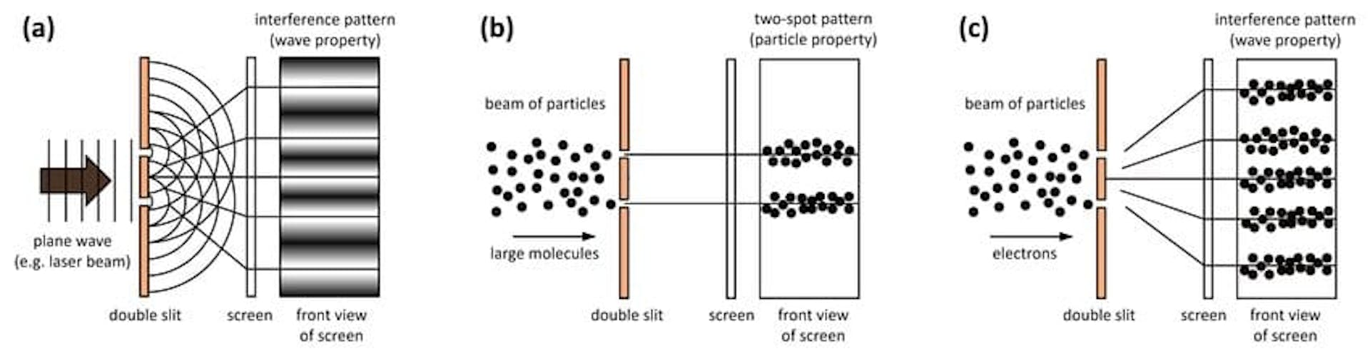 Nguồn: https://www.researchgate.net/figure/Double-slit-experiment-with-a-photons-b-very-large-particles-c-electrons_fig1_349125115