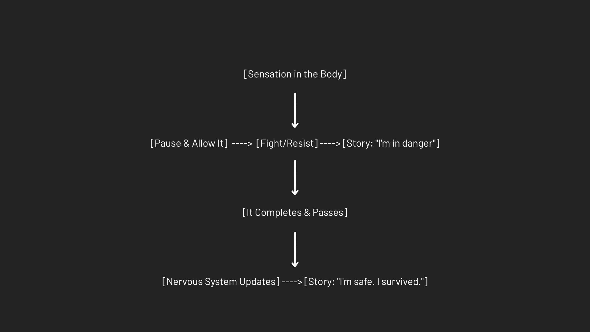 You have 3 brains, and 2 of them don’t speak english. | HackerNoon