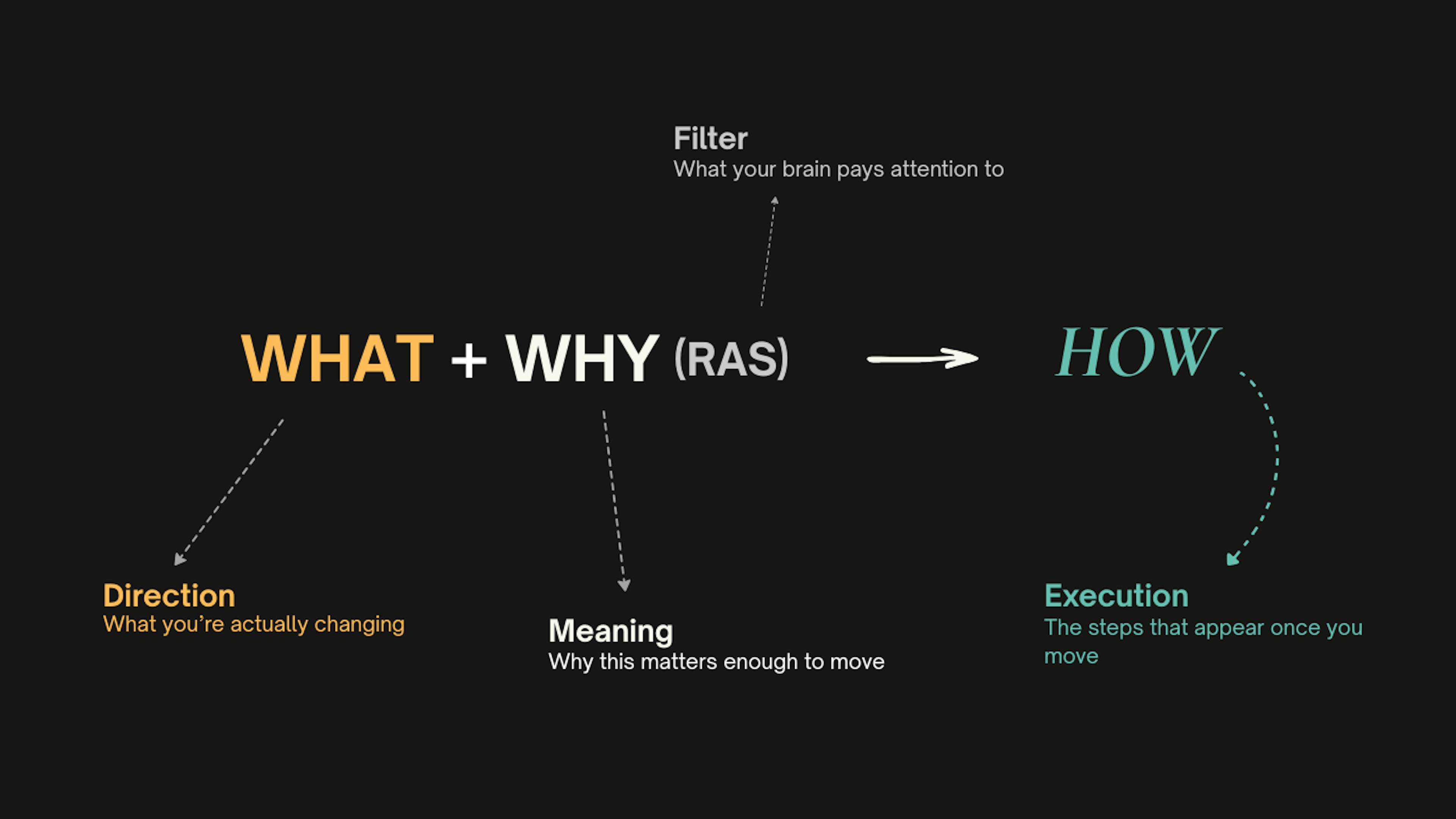 featured image - Momentum Has a Neuroscience