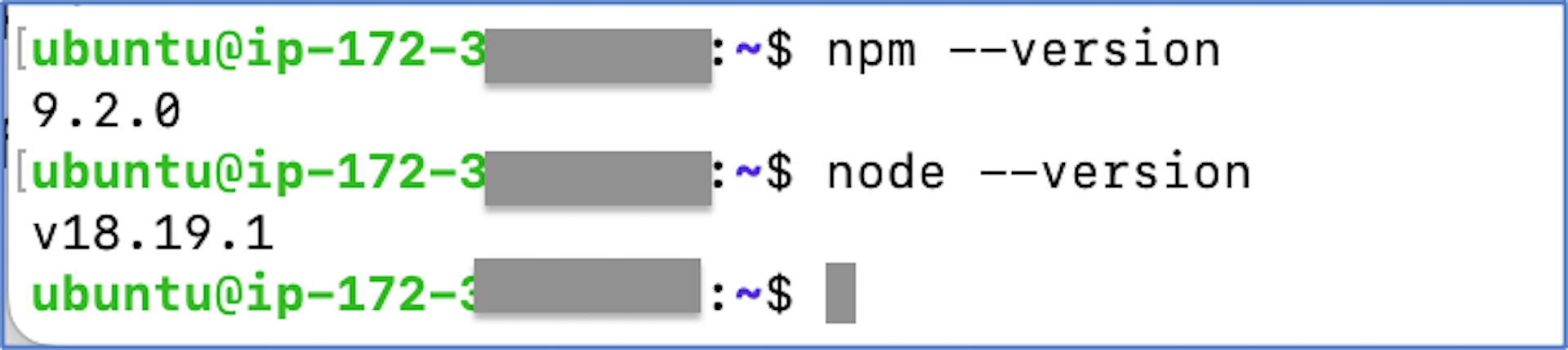 Check the node and npm versions after installed