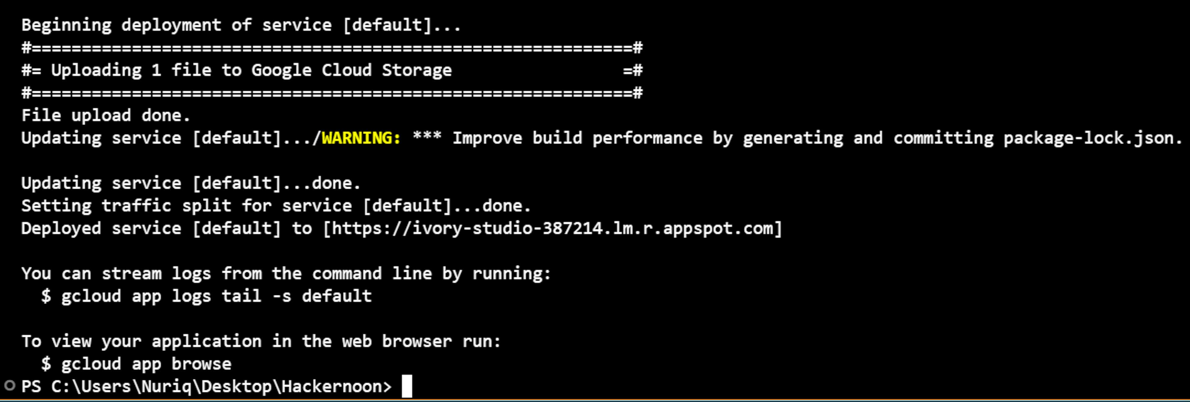 Image 7. Gcloud deployment info. 