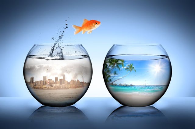 /the-ultimate-guide-to-change-management-plan-in-2022 feature image
