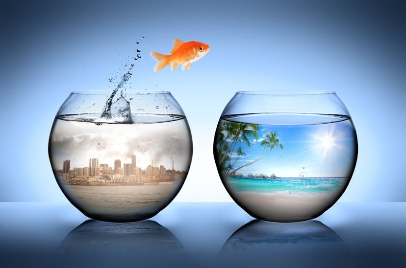 /the-ultimate-guide-to-change-management-plan-in-2022 feature image