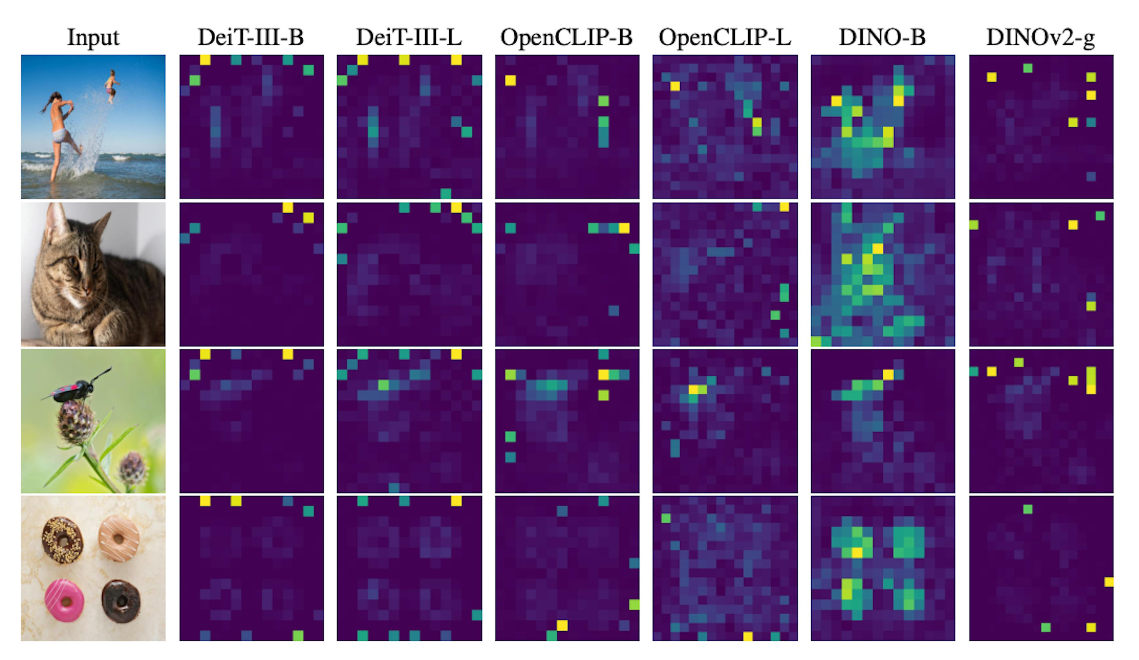 Figure from the paper, which visually shows some of the weird attention artifacts researchers want to reduce.