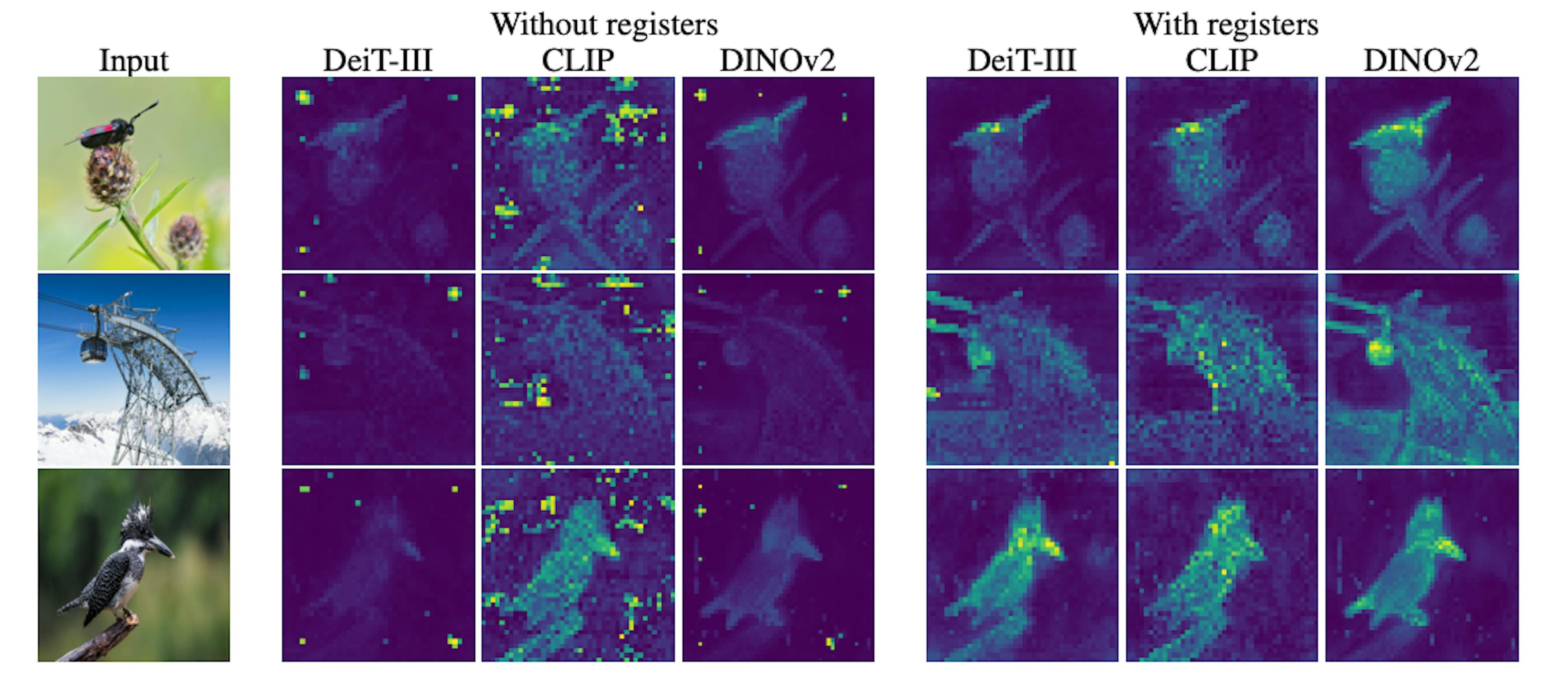 Results of using registers - the models focus much more closely on the subjects of the images! From the paper.