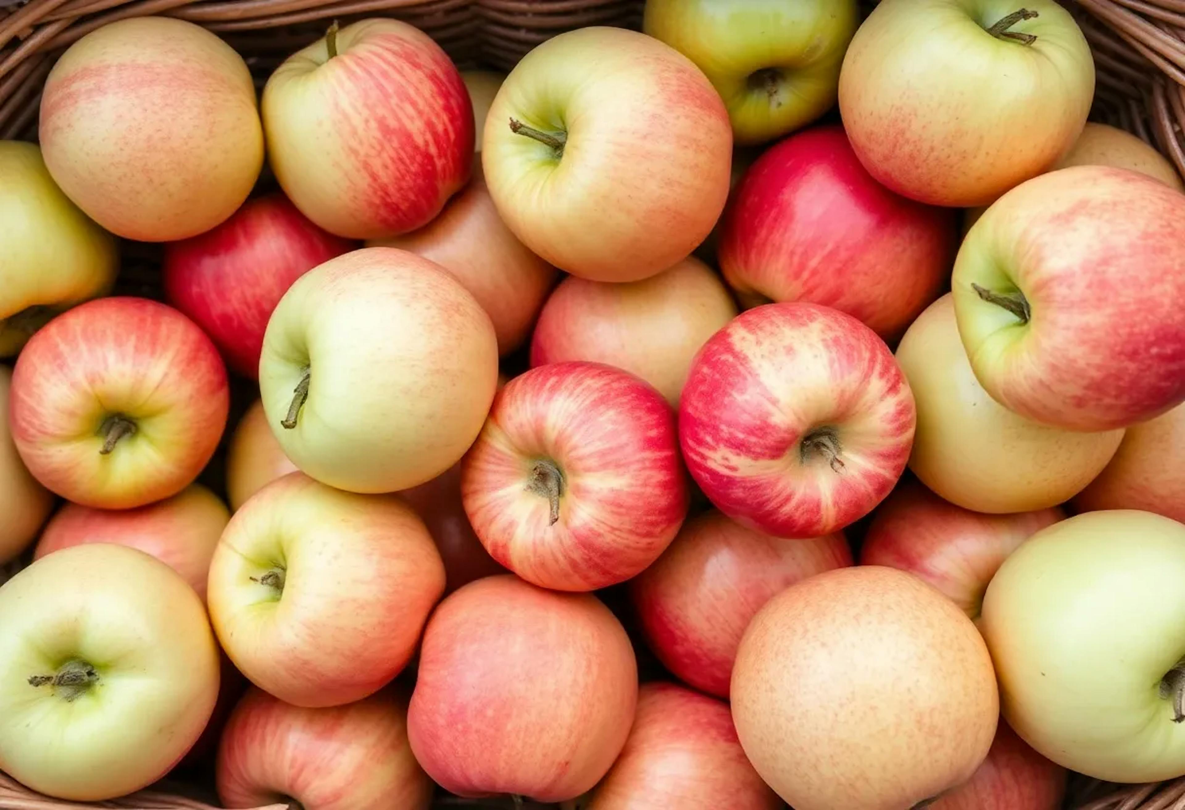 featured image - Differentiating Multi-Token Prediction from Prior LLM Training Methods