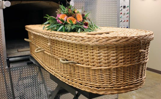 featured image - What Is Bio Cremation Technology?