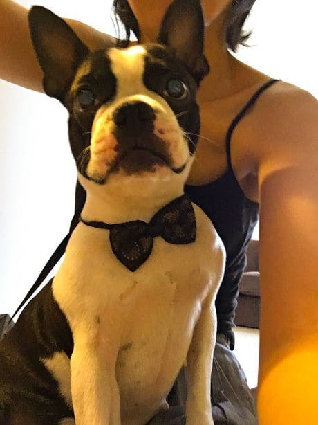 featured image - Blackrock & Billionaires Buy Bitcoin Whilst There is Blood in the Streets