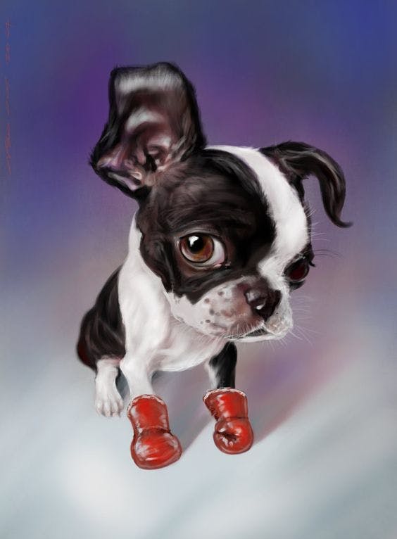 /the-crypto-update-for-jan-2024-the-year-of-the-dragon-with-bitcoin-on-wall-street feature image