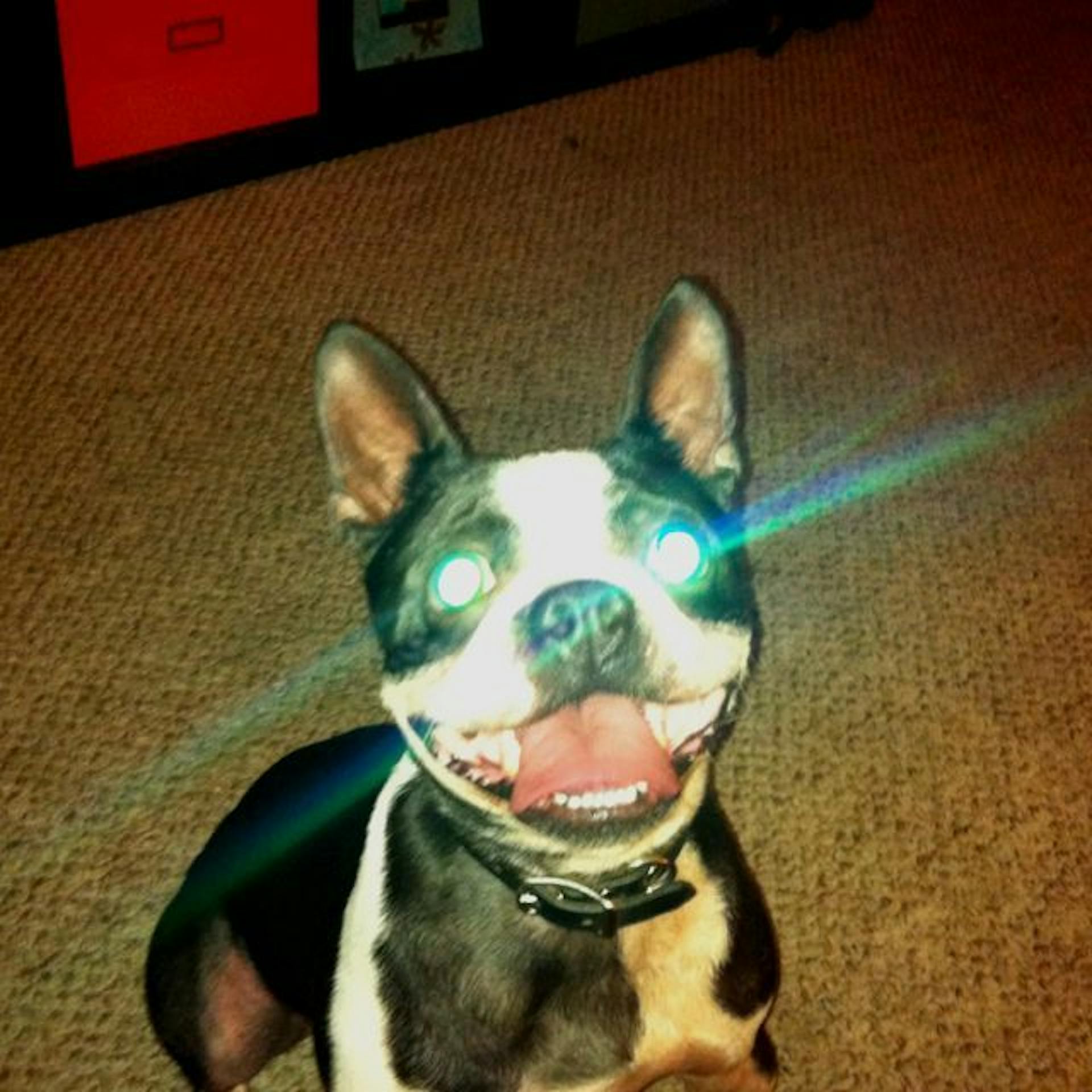 featured image - O CEO da OpenAI quer atirar no seu olho com um laser: o que poderia dar errado?