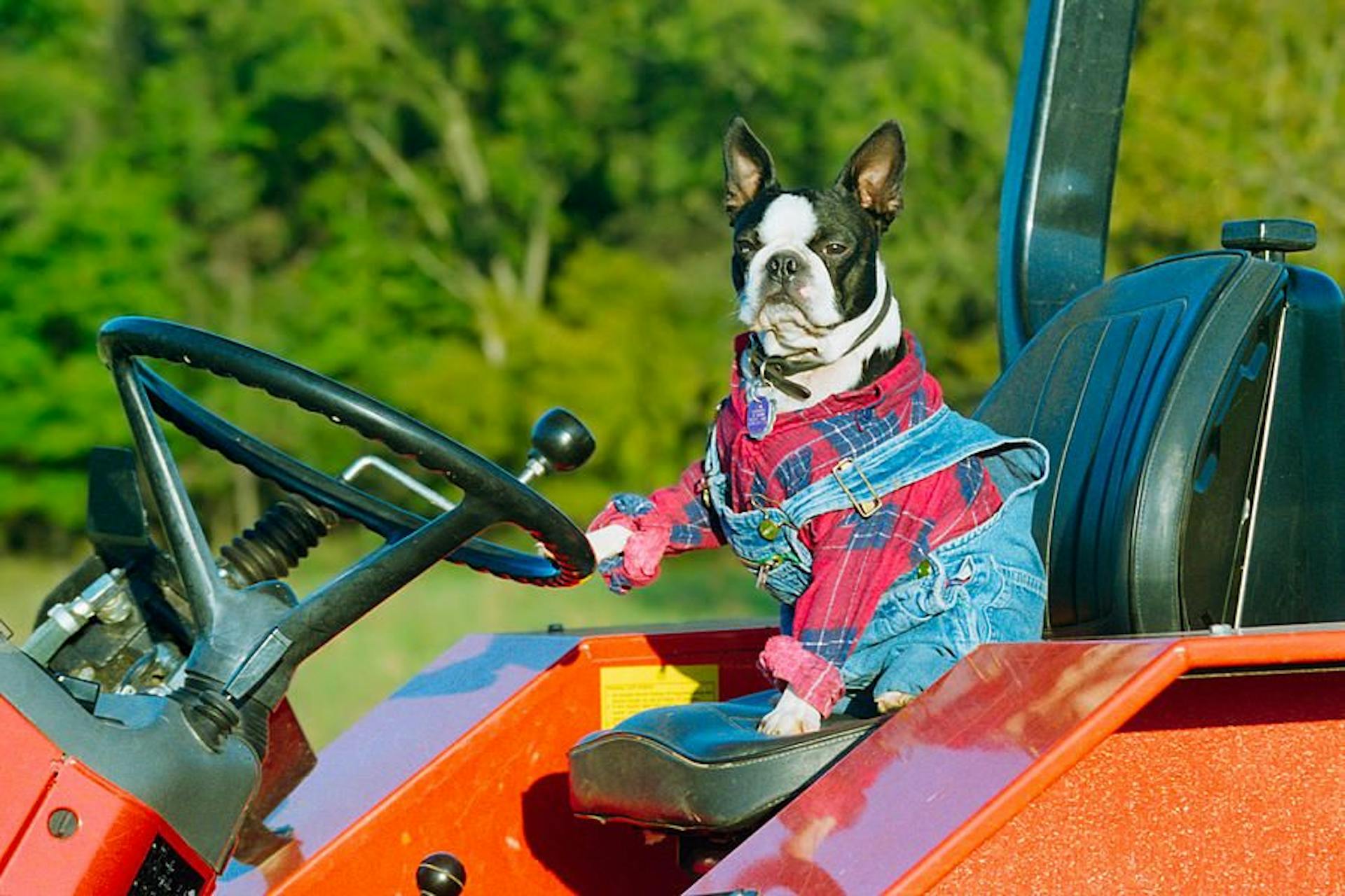 featured image - Crypto: The Markets as at June 2022