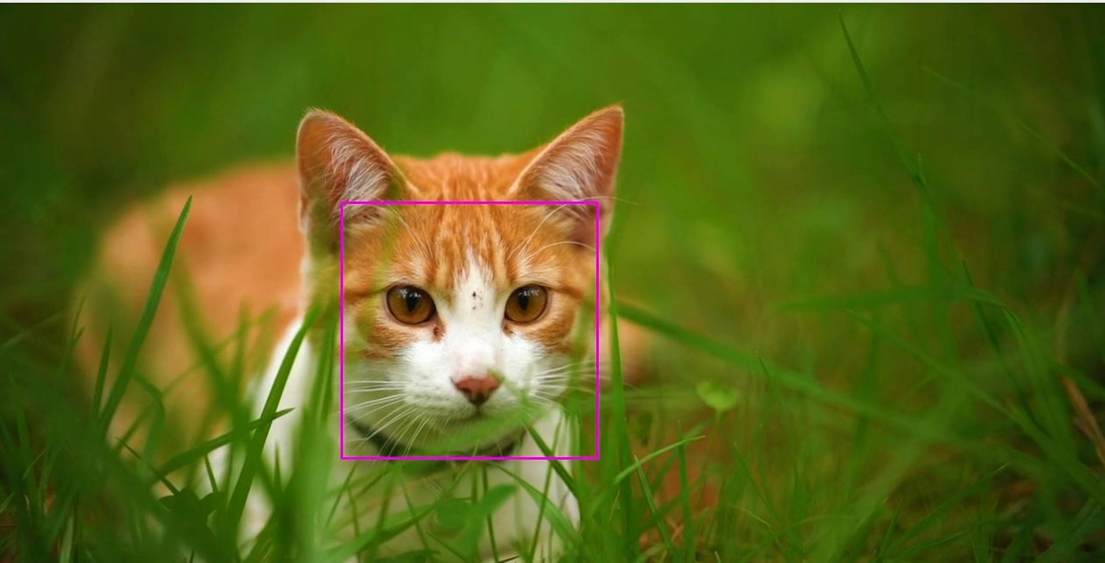 featured image - Creating Computer Vision Apps Without Building Media Pipelines
