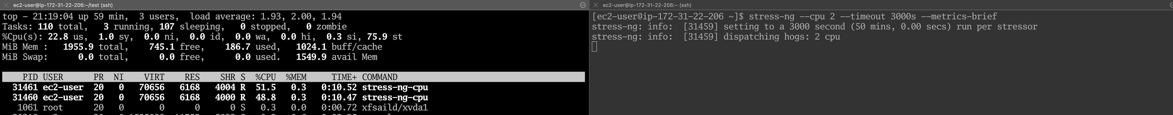 인스턴스가 CPU 신용 잔액을 소비 한 후, 하이퍼 바이저는 기준선을 시행하여주기를 거부하고 75.0%ST로 상단에 나타납니다.