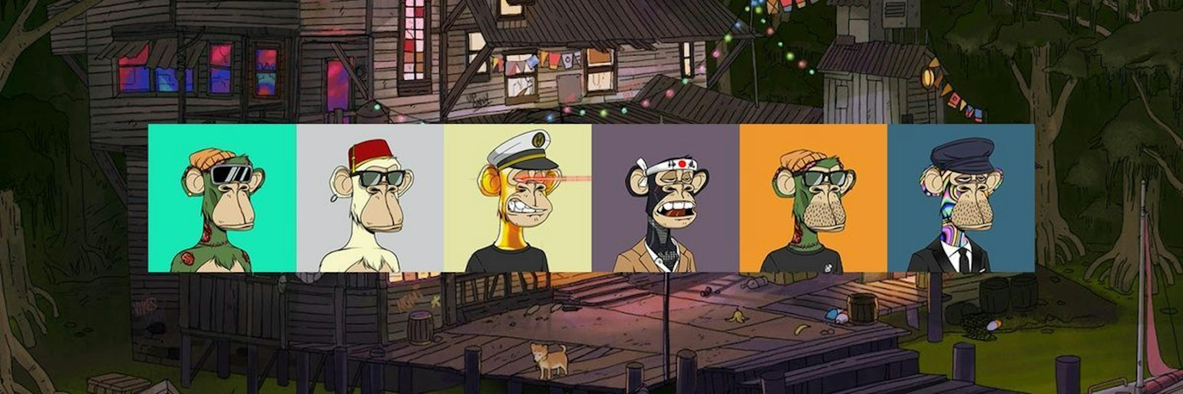 featured image - Bored Ape Yacht Club: The New Trend For Digital Collectibles?