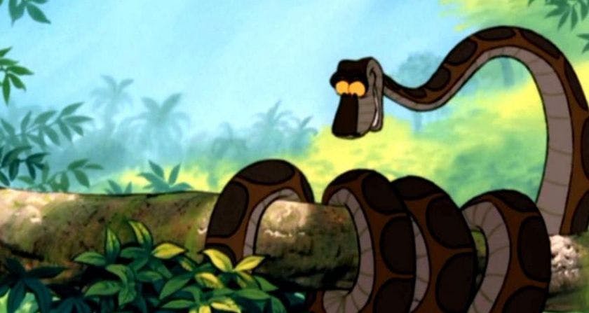 A Guide to Improving Your Python Performance Speed | HackerNoon