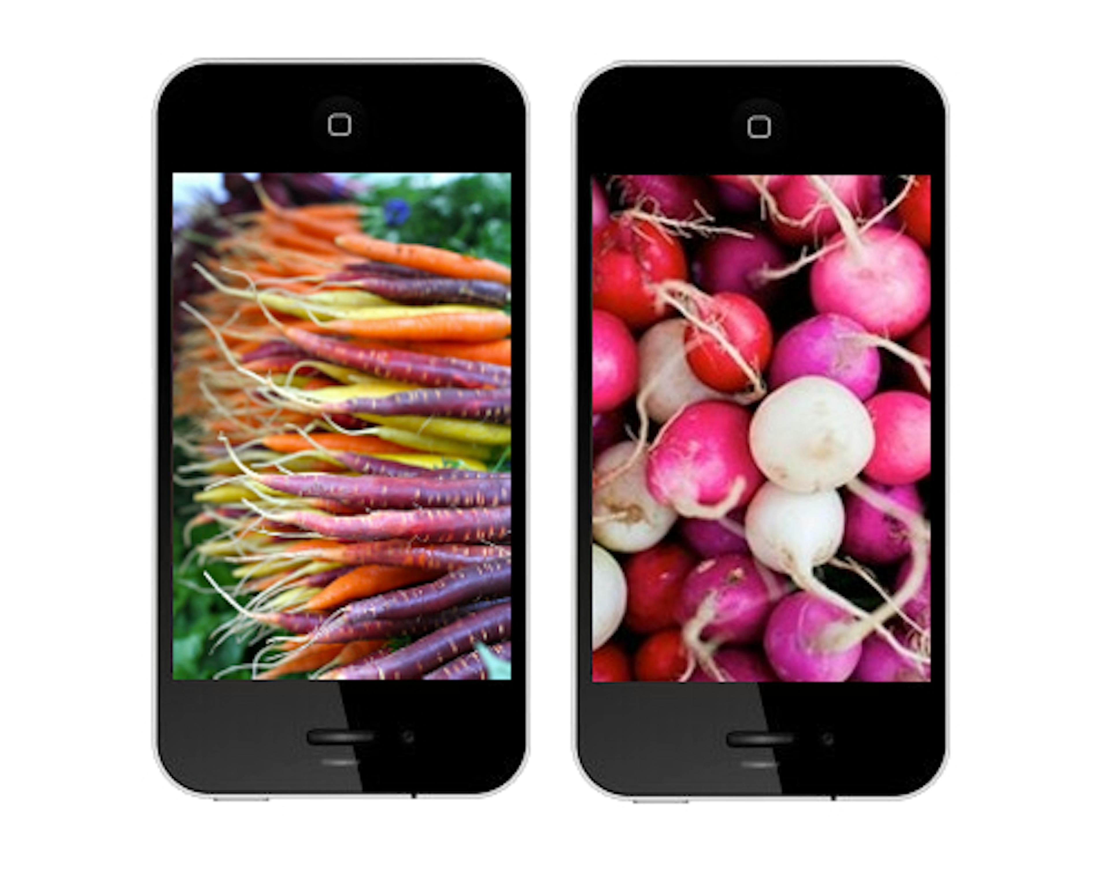 /how-social-media-can-help-you-eat-healthily-mu3z3yy5 feature image