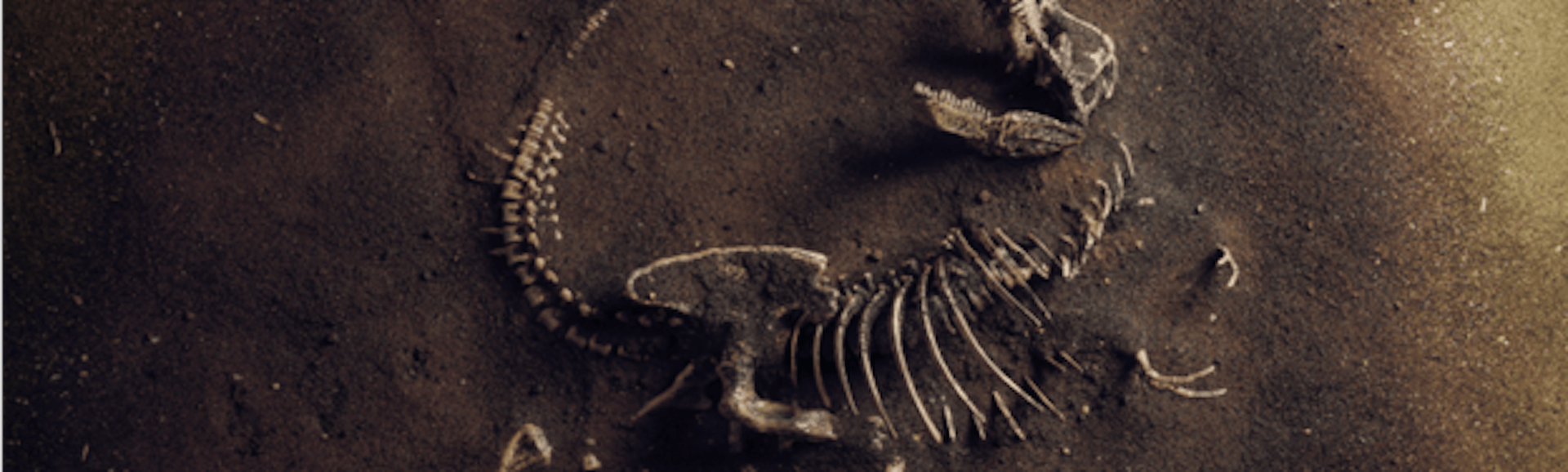 featured image - Nintendo Breaks Its Silence On Palworld