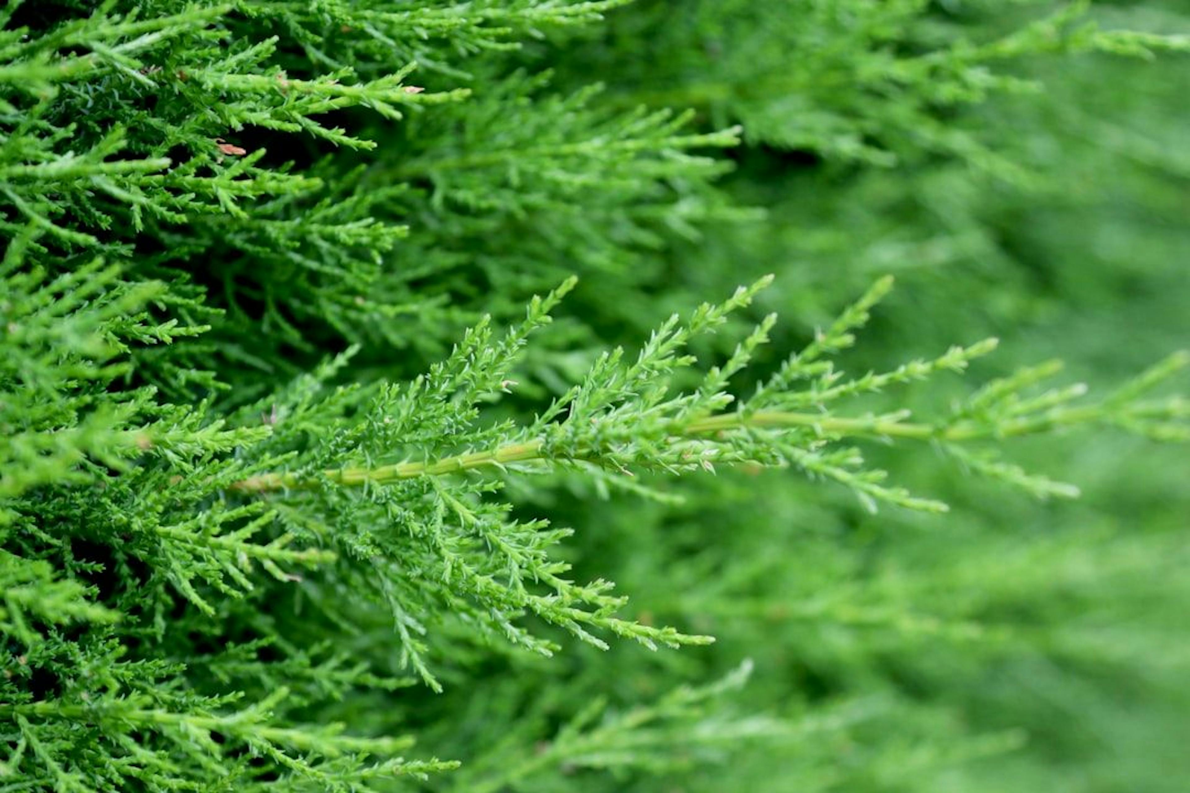 featured image - Don't Just Train Your AI, Re-Train It: The Weekly Workout Plan for a Smarter Option Hedge