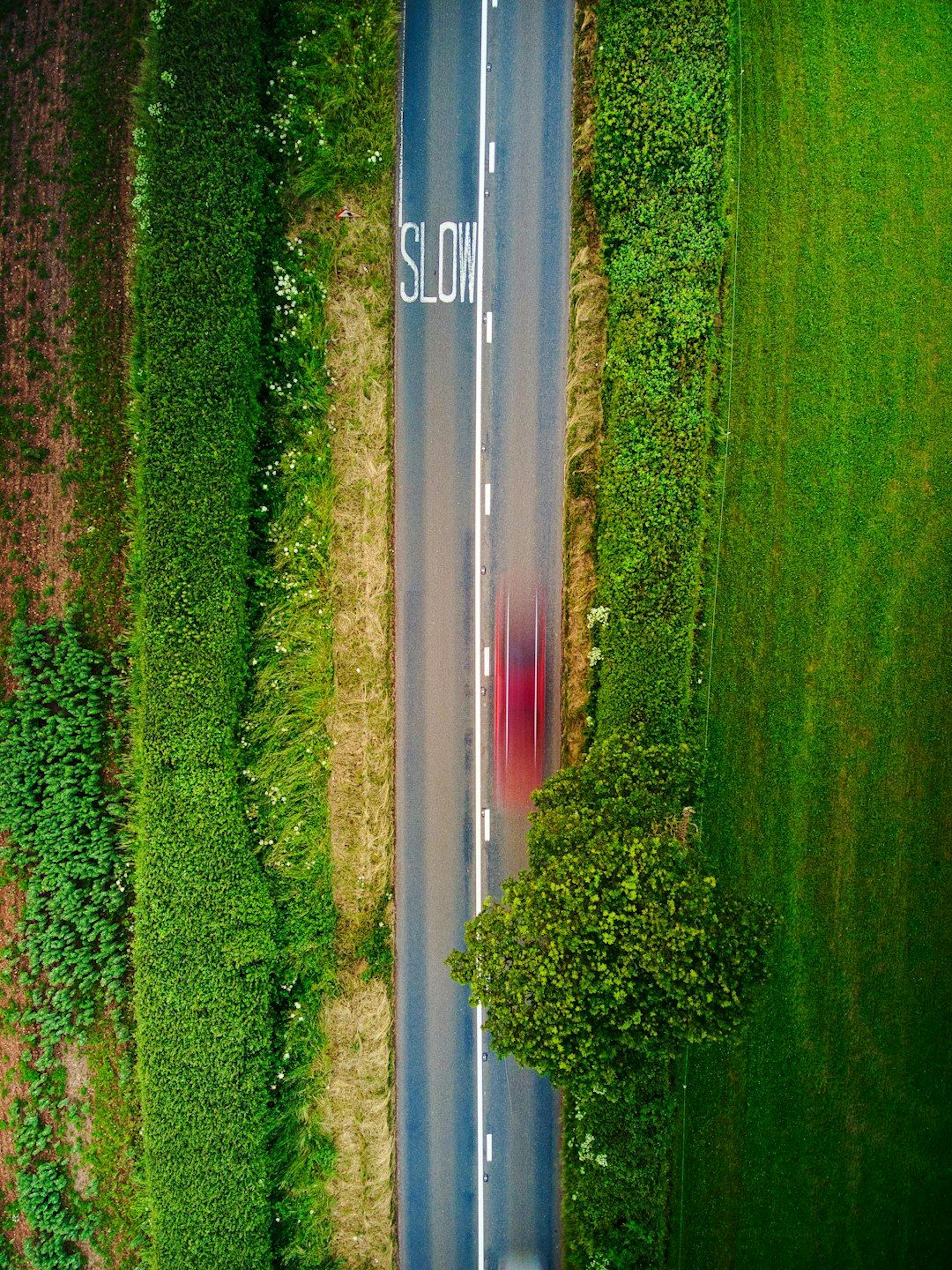 featured image - Why Your Phone's AI is Slow: A Story of Sparse Neurons and Finicky Flash Storage