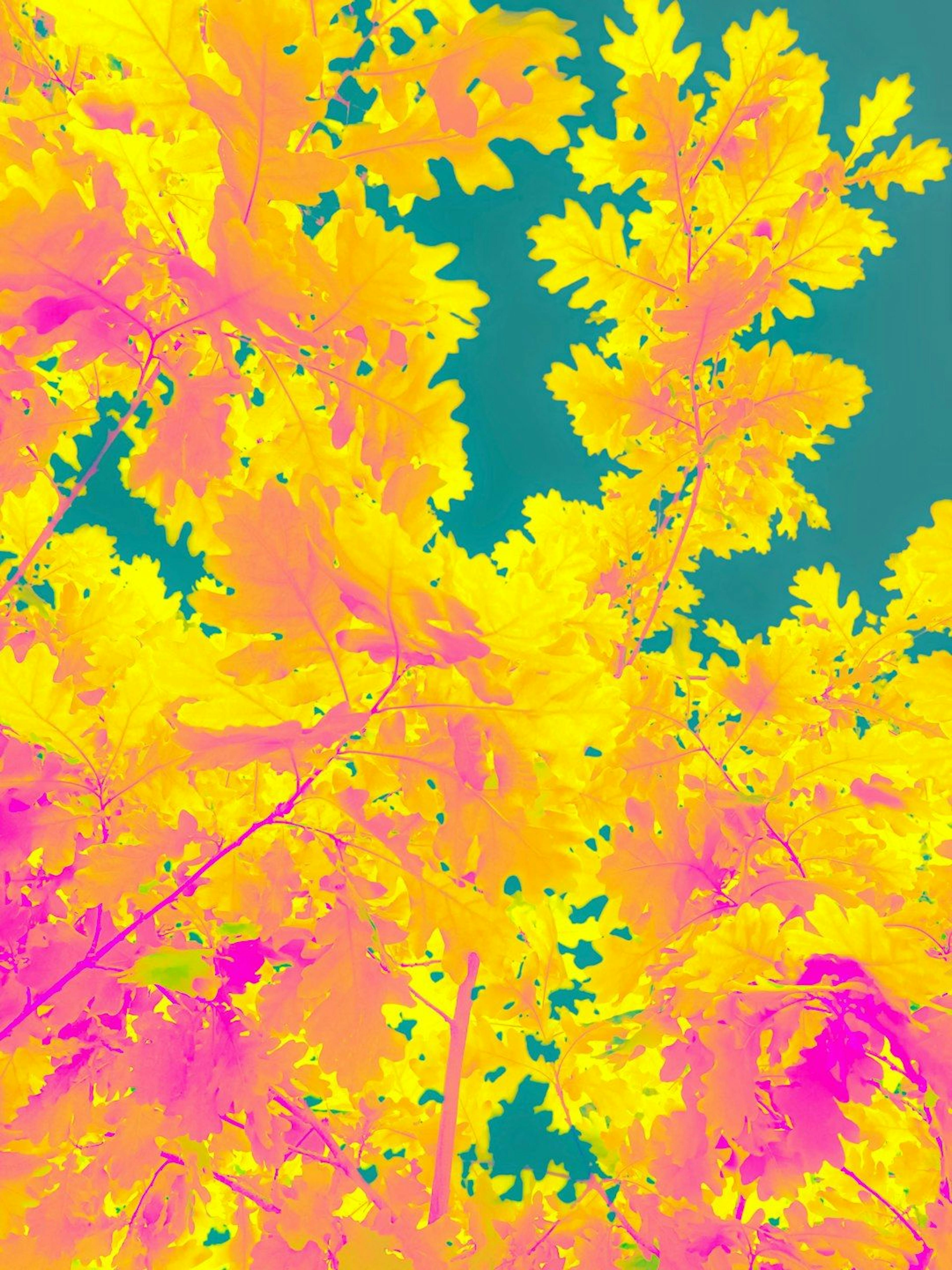 featured image - The Great Privacy Comparison: ISO Standards Take on Europe's GDPR Requirements