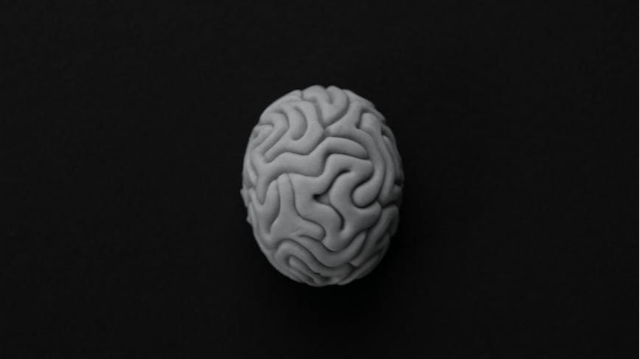 /can-ai-dream-rethinking-consciousness-through-the-lens-of-evolution feature image