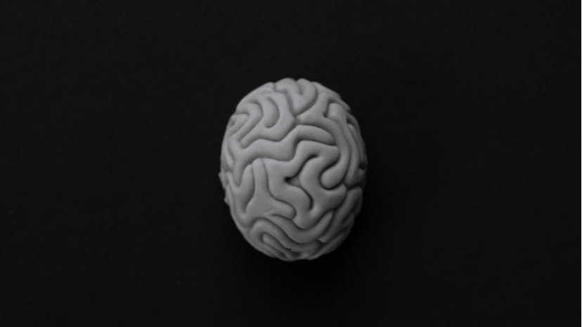 /can-ai-dream-rethinking-consciousness-through-the-lens-of-evolution feature image