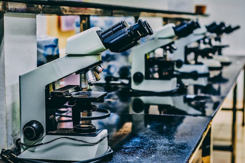 /why-symtax-is-not-just-another-ai-but-a-new-partner-for-researchers feature image