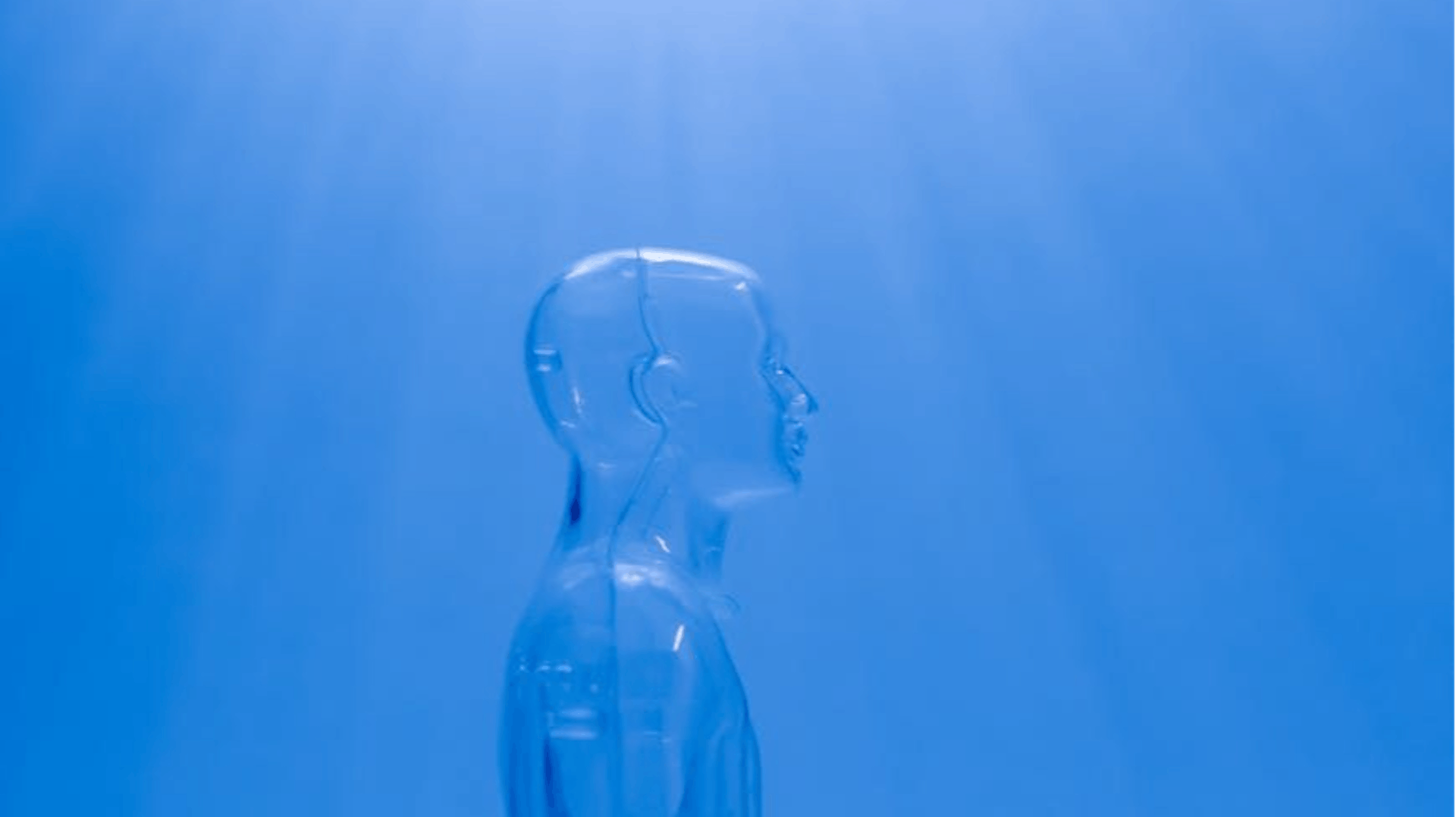 featured image - Few-Shot Personalization of YOLOv8 with Object-Conditioned Bags of Instances