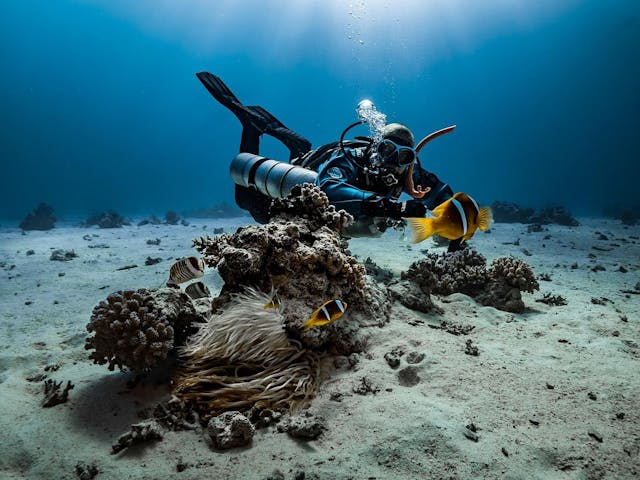 /scaling-the-depths-oceananigans-achieves-record-breaking-climate-simulation-performance feature image