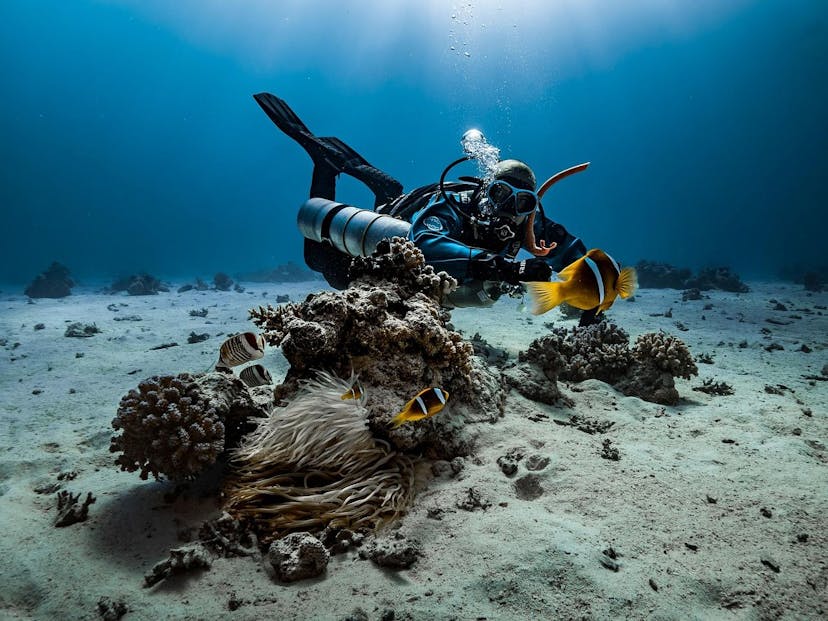 /scaling-the-depths-oceananigans-achieves-record-breaking-climate-simulation-performance feature image