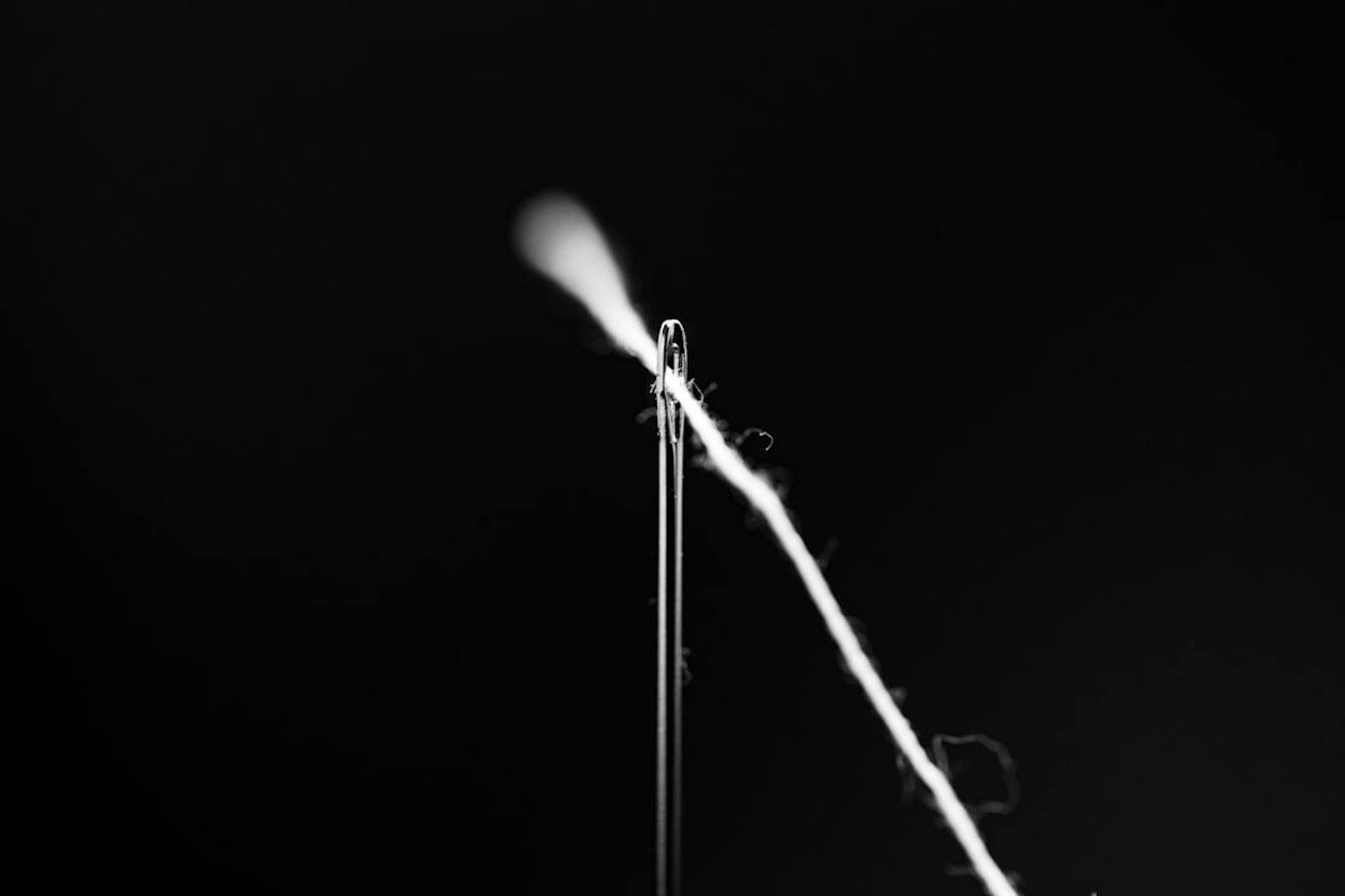 featured image - Need Precision Plankton Counts? Why YOLOv5 Shines, But YOLOv8 Adapts