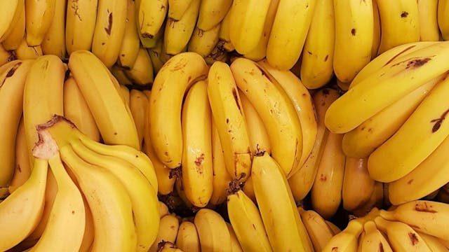 /from-one-banana-to-billions-testing-pcics-predictive-powers feature image