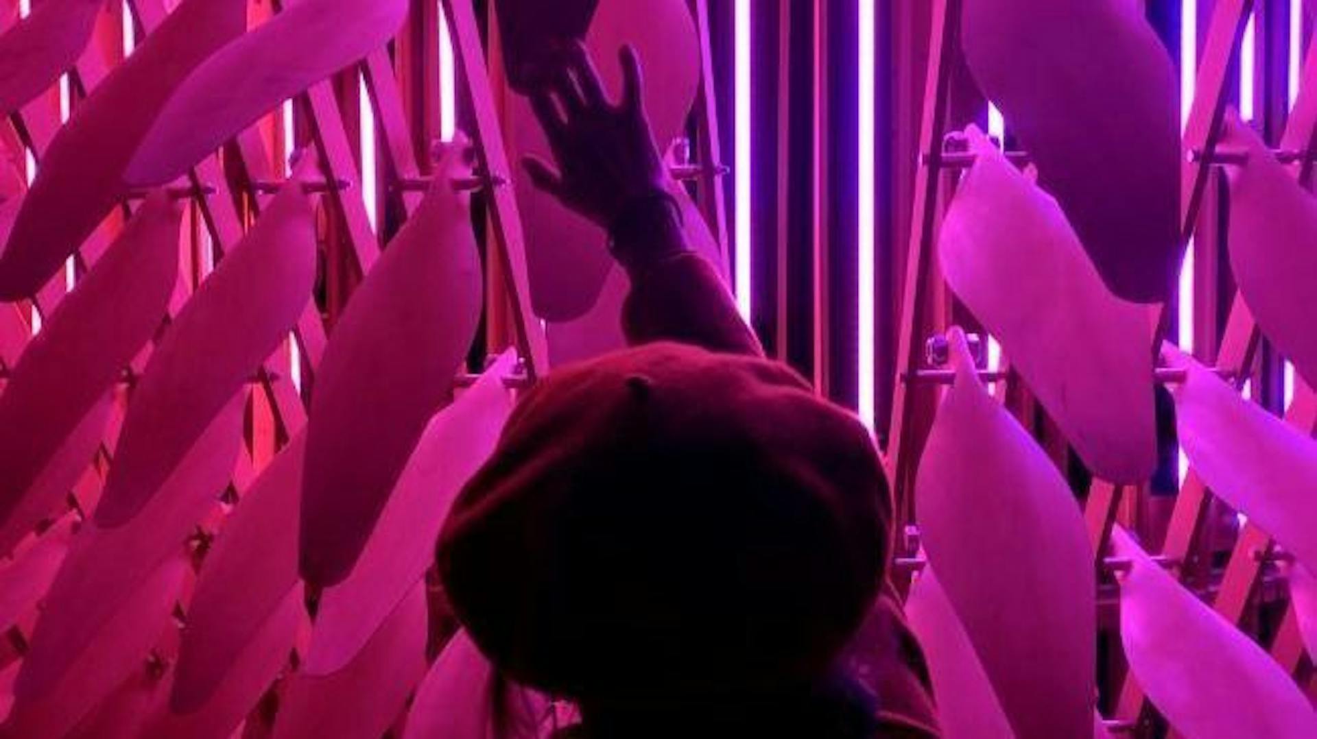 featured image - "Girls only do pretty visual things" - a Women in Tech Interview