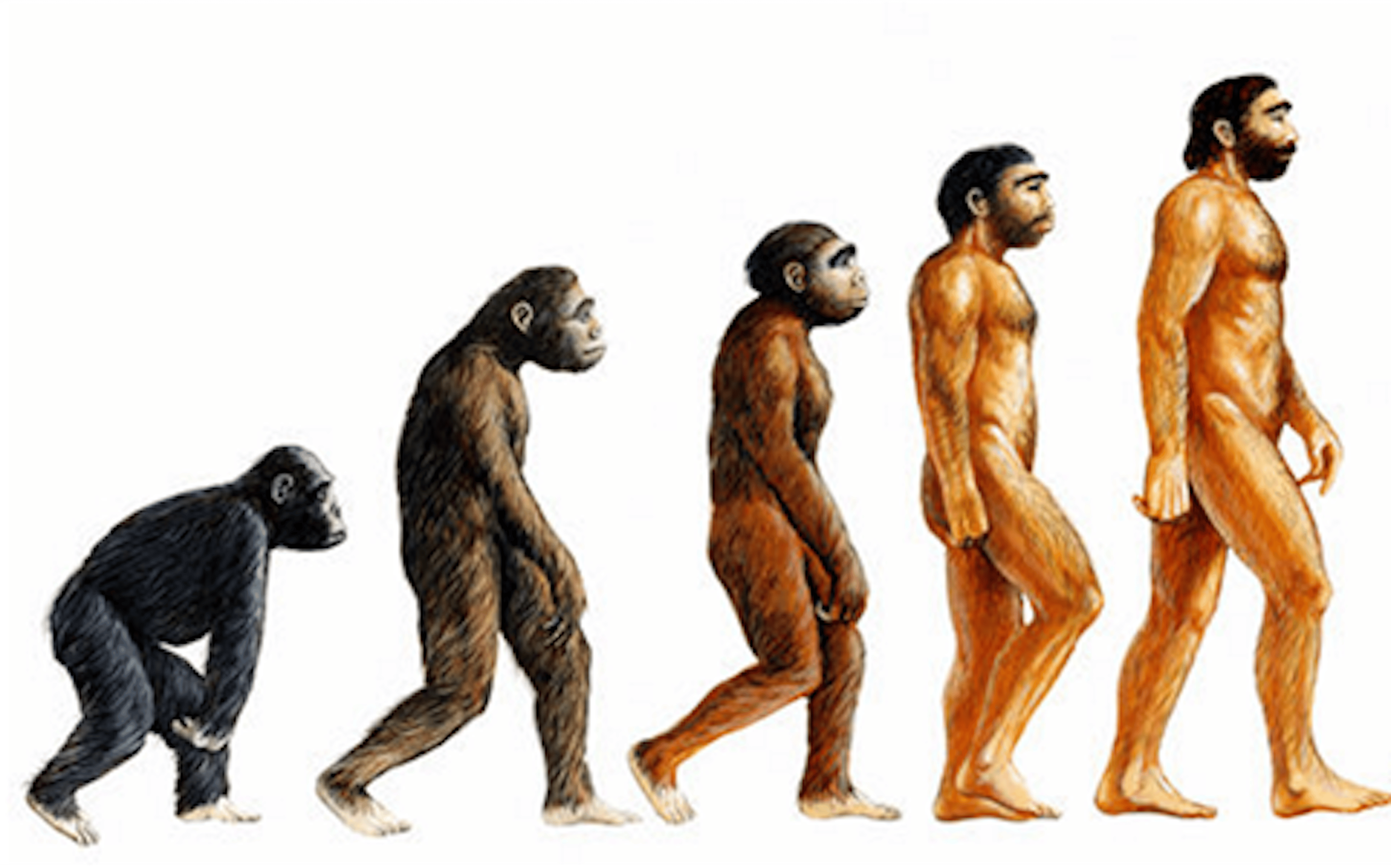 /augmented-geomarketing-the-start-of-a-new-era-or-just-an-evolution feature image