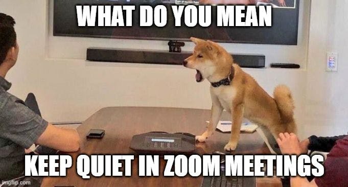 featured image - Kids + Dogs + Zoom Meetings - What Could Possibly Go Wrong?