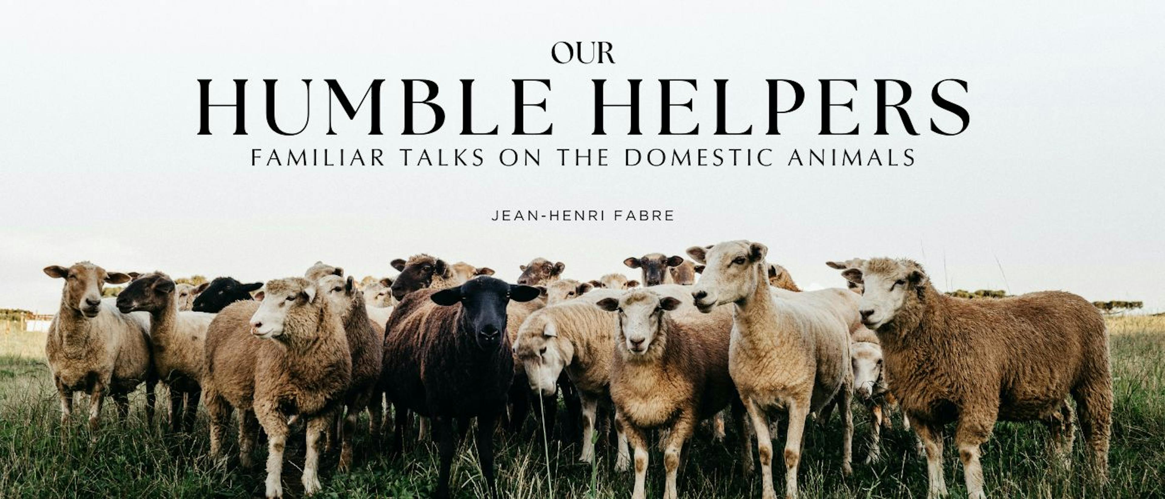 featured image - Our Humble Helpers: Familiar Talks on the Domestic Animals by Jean-Henri Fabre - Table of Links