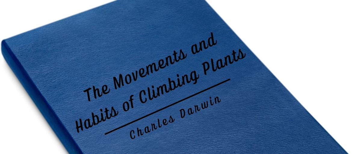 featured image - The Movements and Habits of Climbing Plants by Charles Darwin - Table of Links