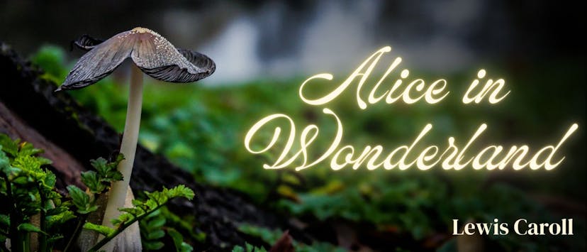 /alice-in-wonderland-by-lewis-carroll-table-of-links feature image