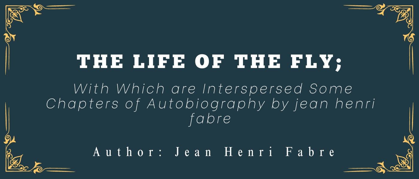 featured image - The Life of the Fly; With Which are Interspersed Some Chapters of Autobiography by Jean-Henri Fabre