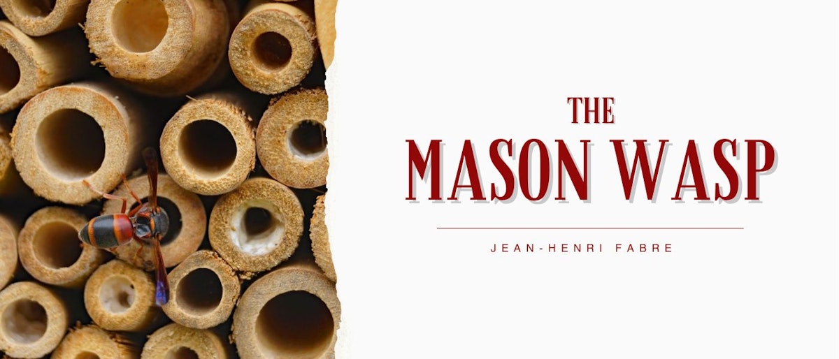 featured image - The Mason-Wasps by Jean-Henri Fabre - Table of Links
