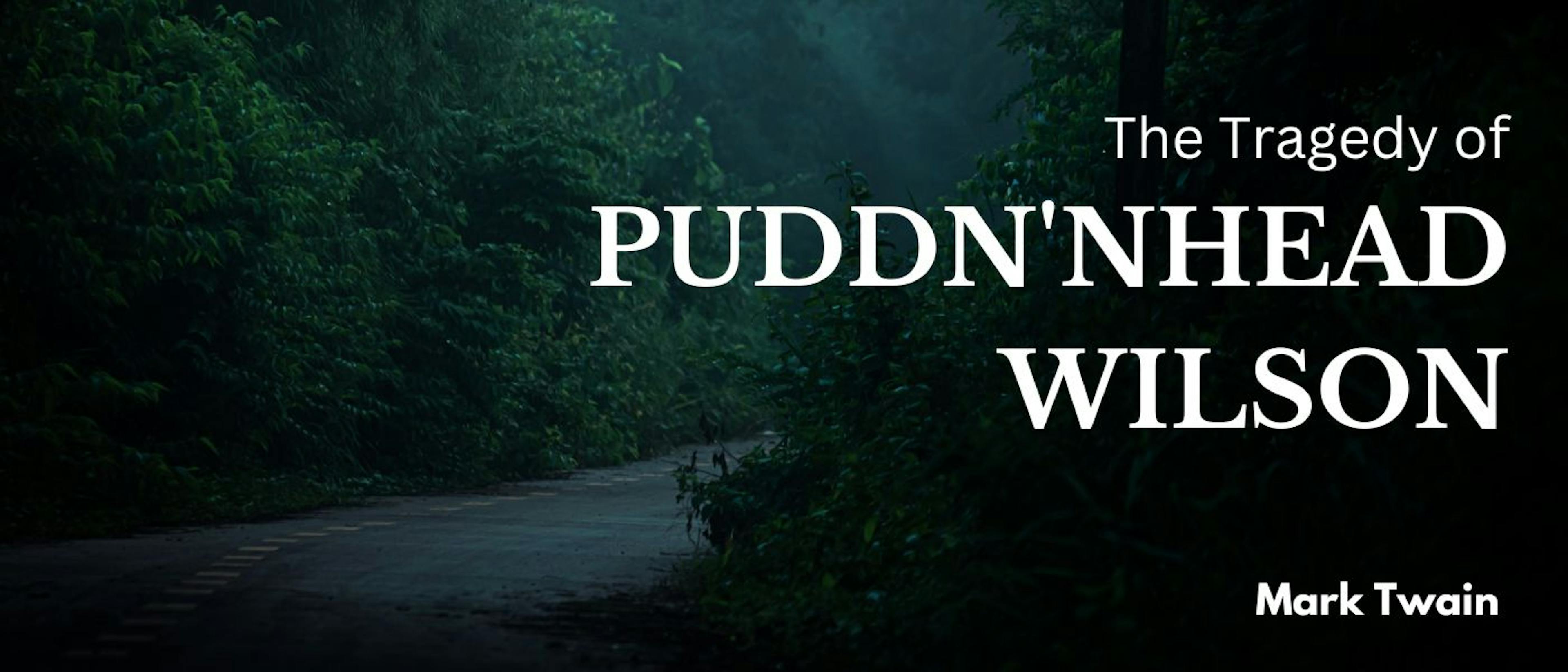 featured image - The Tragedy of Pudd'nhead Wilson by Mark Twain - Table of Links