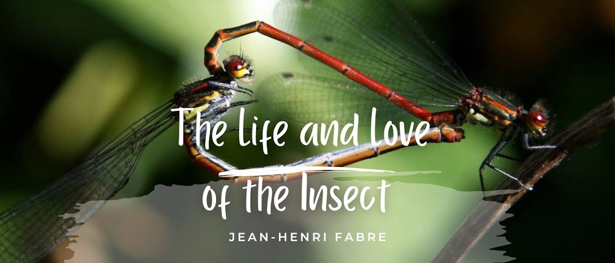 featured image - The Life and Love of the Insect by Jean-Henri Fabre - Table of Links