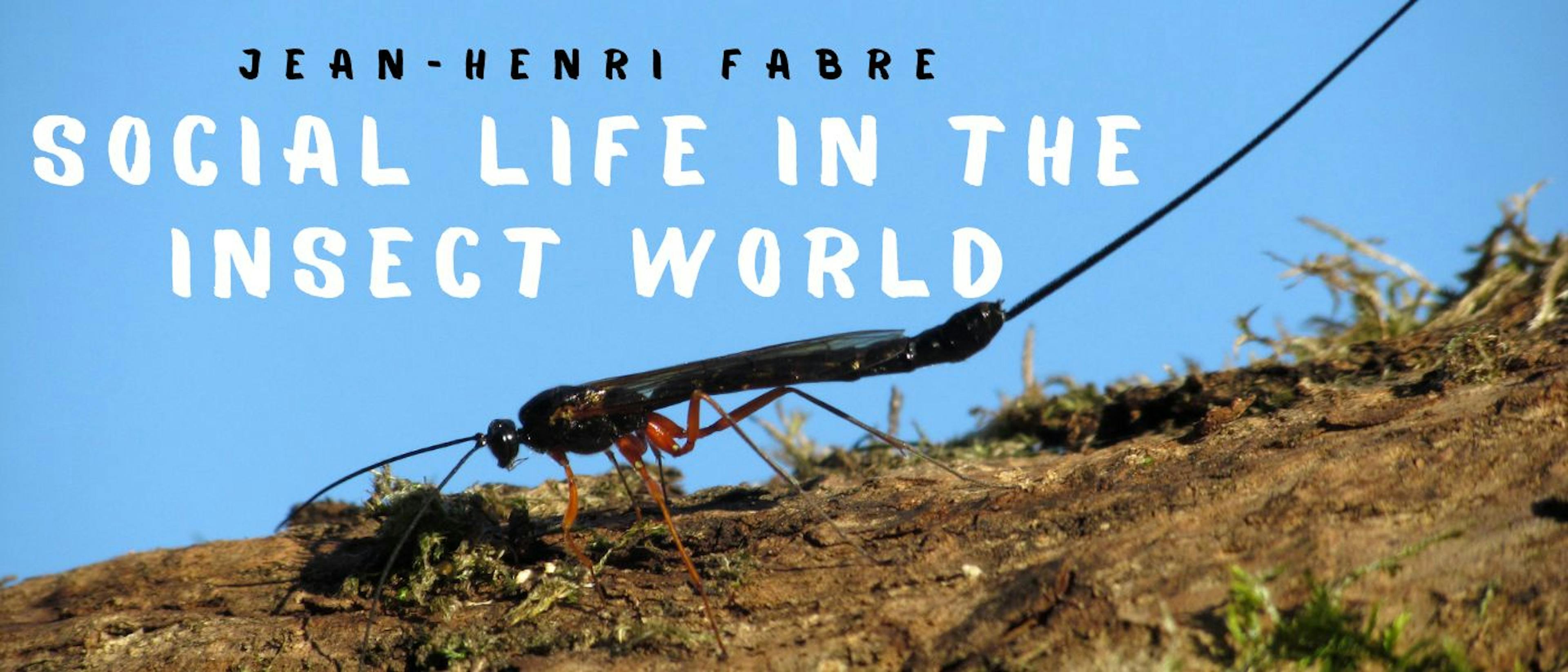 featured image - Social Life in the Insect World by Jean-Henri Fabre - Table of Links